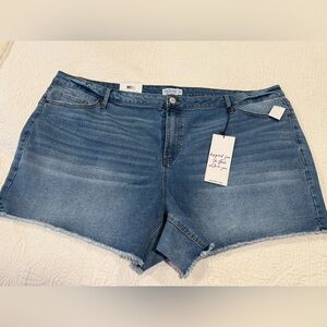 Vanilla Star denim jean 90s shorts high rise 24W NEW